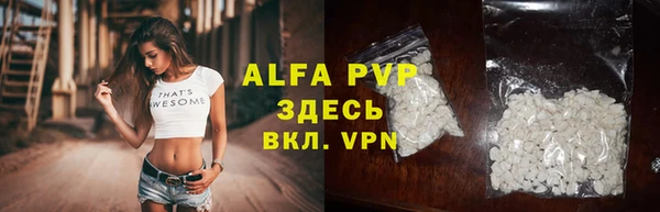 сатива Белокуриха