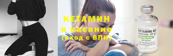 сатива Белокуриха
