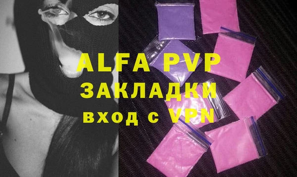 сатива Белокуриха