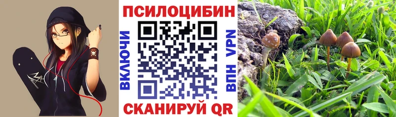 как найти   Невель  omg онион  Псилоцибиновые грибы мухоморы 